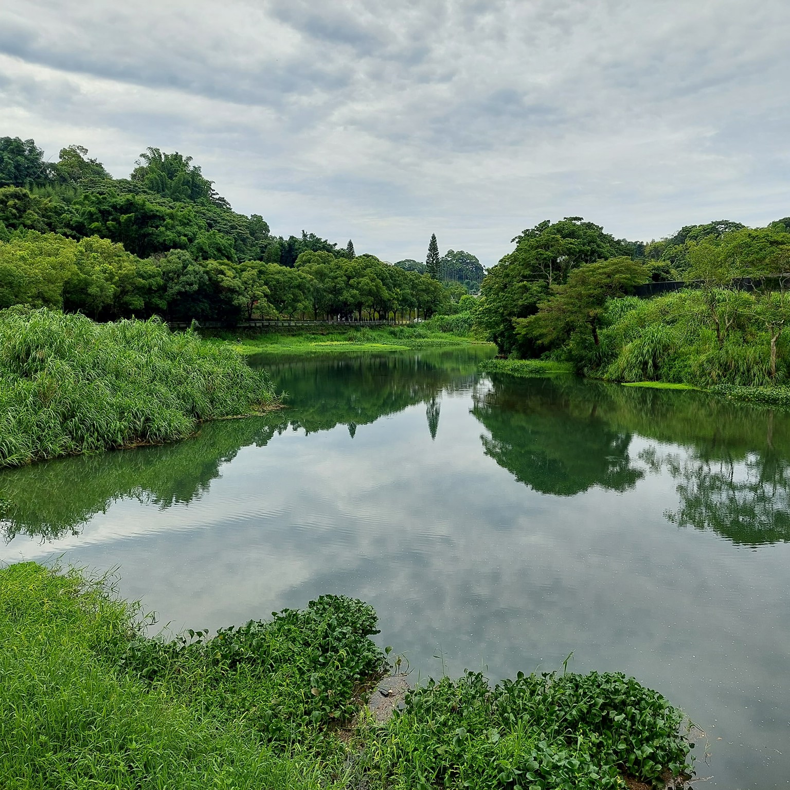 布拉姆田莊(境醇商行)