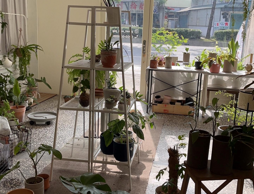 植物與豬植栽工作室