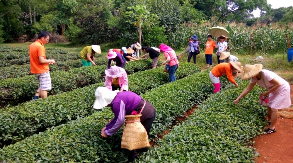 生津休閒茶藝館 庭園早餐